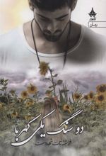 کتاب دو سنگ یکی کهربا (دوره ی 2 جلدی)