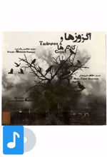 آلبوم موسیقی اگزوز ها و کلاغ ها