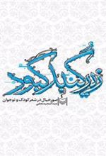 کتاب زیر گنبد کبود