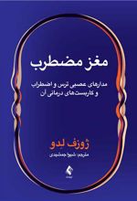 مغز مضطرب