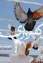 کفتربازی