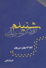 شنیدم که دیگر نمی آیی