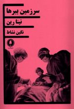 سرزمین ببرها