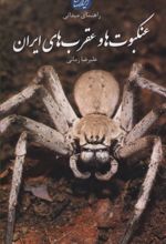 عنکبوت ها و عقرب های ایران