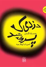 دزدی که پروانه شد