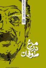 مرغ در طوفان