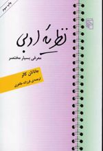 نظریه ادبی