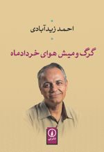 گرگ و میش هوای خردادماه