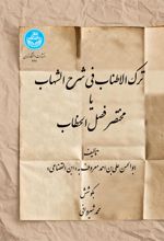 ترک‌الاطناب فی شرح الشهاب یا مختصر فصل الخطاب