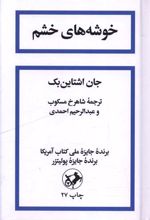 خوشه های خشم