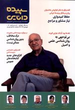 سپیده دانایی