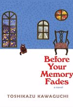 Before Your Memory Fades