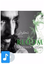 آلبوم موسیقی شکوفایی (Bloom)