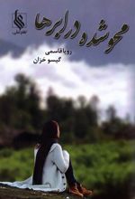 محو شده در ابرها