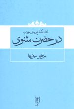 اندک گستاخ و بیش مودب در حضرت مثنوی