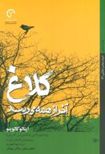 کلاغ آخر از همه می رسد