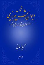 شرح دیوان شمس تبریزی - جلد دوم