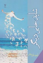 شاید جایی دیگر