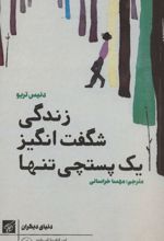 زندگی شگفت انگیز یک پستچی تنها