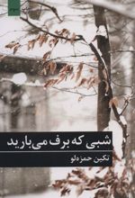 شبی که برف می بارید