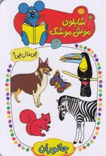 شابلون موش موشک (6)