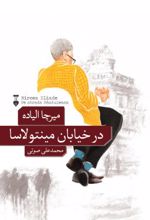 در خیابان مینتولاسا