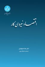 اقتصاد نیروی کار