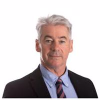 مایک مک نامی