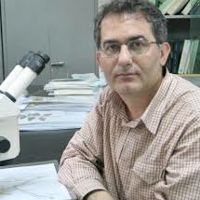 فرخ قهرمانی نژاد