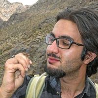 علیرضا زمانی