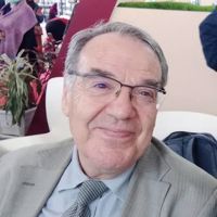 احمد بجاوی