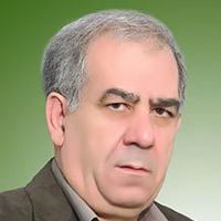 علی رستمی بوکانی