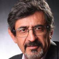 عبدالحی شماسی