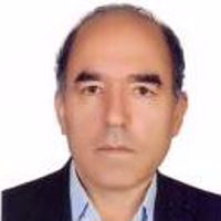 محمد جلوداری ممقانی