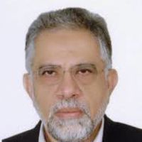 محمد حسن شجاعی فرد