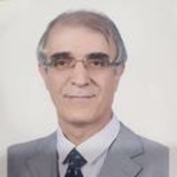 سید مهدی حسن زاده (1329)