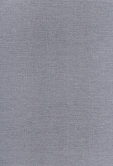 پلنر رحلی پارسا (دموت)