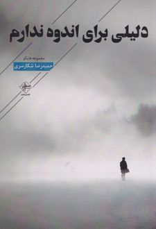 دلیلی برای اندوه ندارم