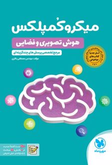 میکروکمپلکس هوش تصویری و فضایی