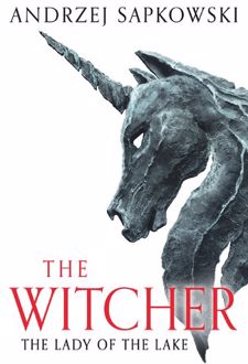 کتاب The Witcher 7: The Lady Of The Lake