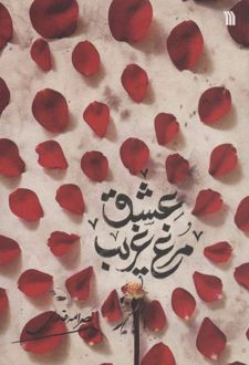 مرغ غریب عشق