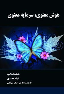 هوش معنوی ، سرمایه معنوی