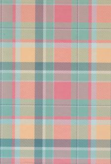 دفتر کلاسوری 20 حلقه 100 برگ قفل فلز برگ سری راندو (چهارخونه)