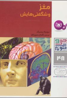 مغز و شگفتی هایش