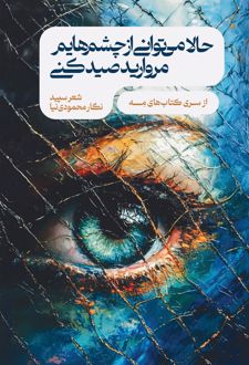 کتاب حالا می‌توانی از چشم‎‌هایم مروارید صید کنی