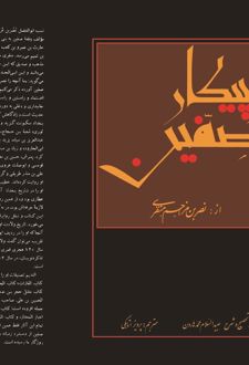 پیکار صفین
