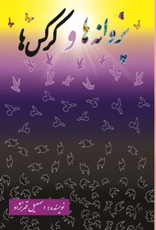 کتاب پروانه ها و کرکس ها