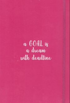 پلنر دریم صورتی (نارنجی)