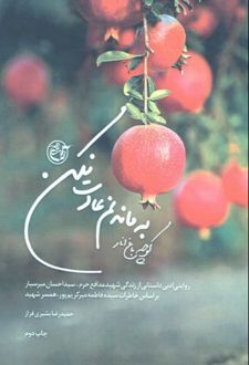 کوچه باغ انار به ماندنم عادت نکن