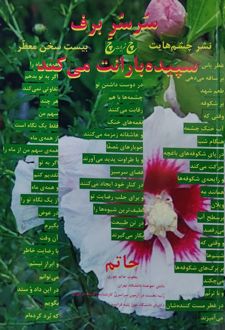 سر سر برف سپیده بارانت می‌کند